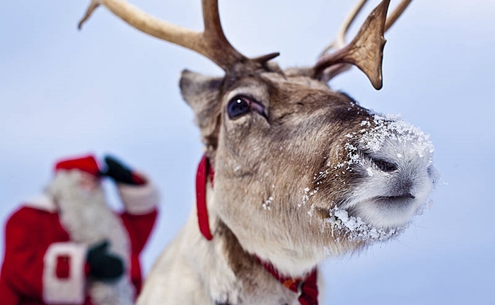 laponia papa noel rovaniemi 2016