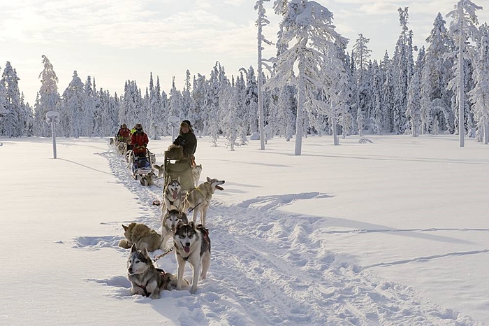 navidad sokos vaakuna rovaniemi 10